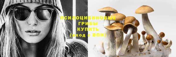 стафф Верея