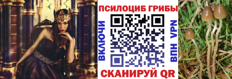 MEGA как зайти  продажа наркотиков  Смоленск  Псилоцибиновые грибы Psilocybine cubensis 